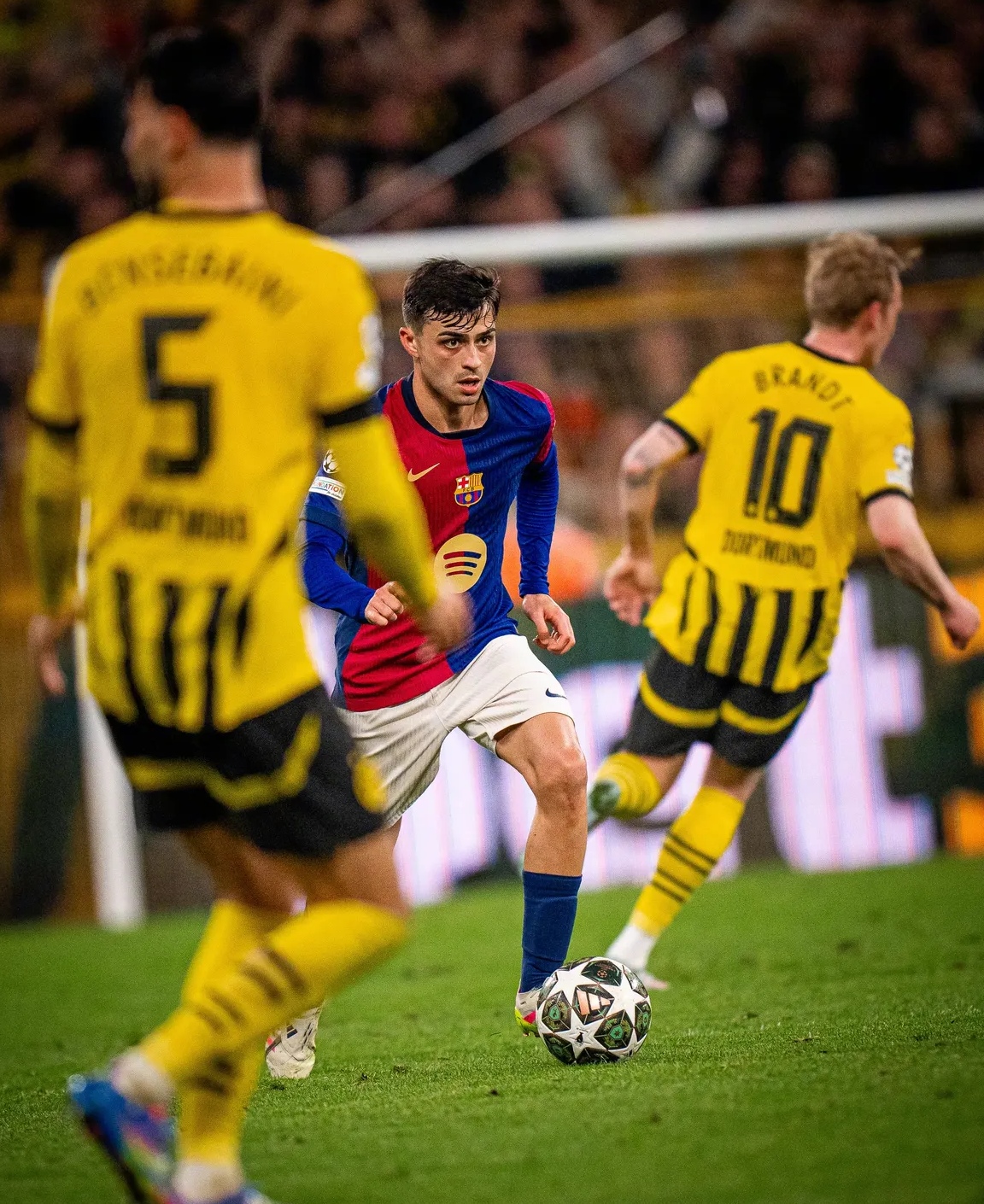 萨克拉门托国王训练开放日，转会期外线爆发引欢呼，欧冠在即，赛程密集仍需轮换的简单介绍